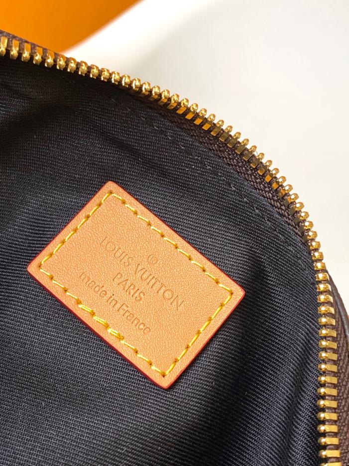 Borsa a mano Louis Vuitton Pooch bag