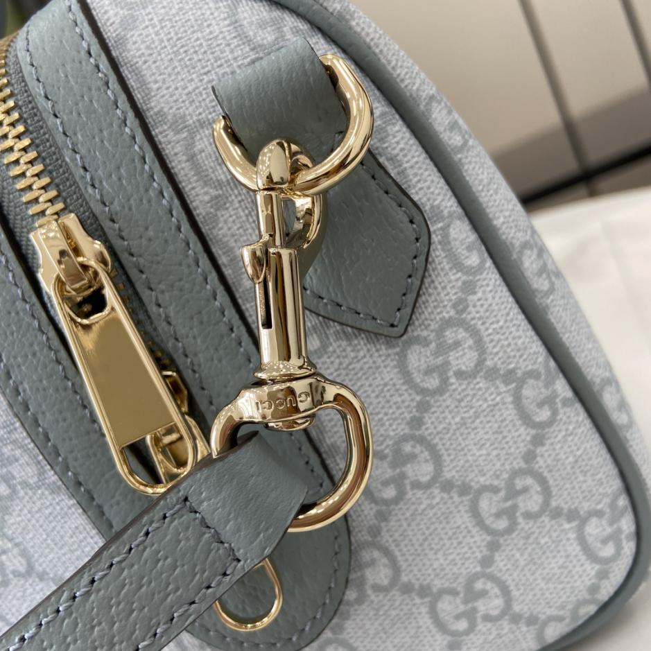 Borsa piccola Gucci Ophidia GG
