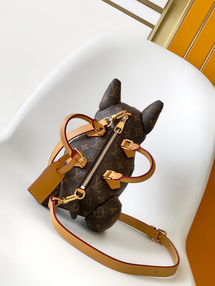 Borsa a mano Louis Vuitton Pooch bag