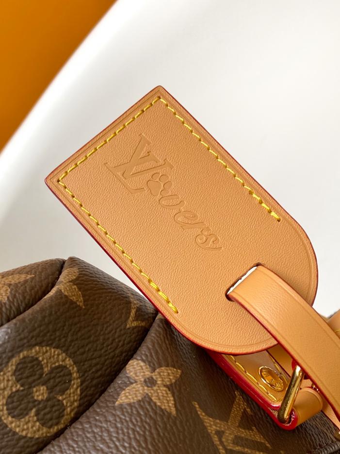 Borsa a mano Louis Vuitton Pooch bag