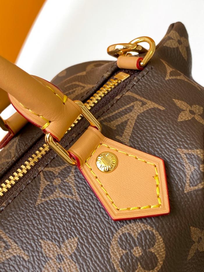 Borsa a mano Louis Vuitton Pooch bag
