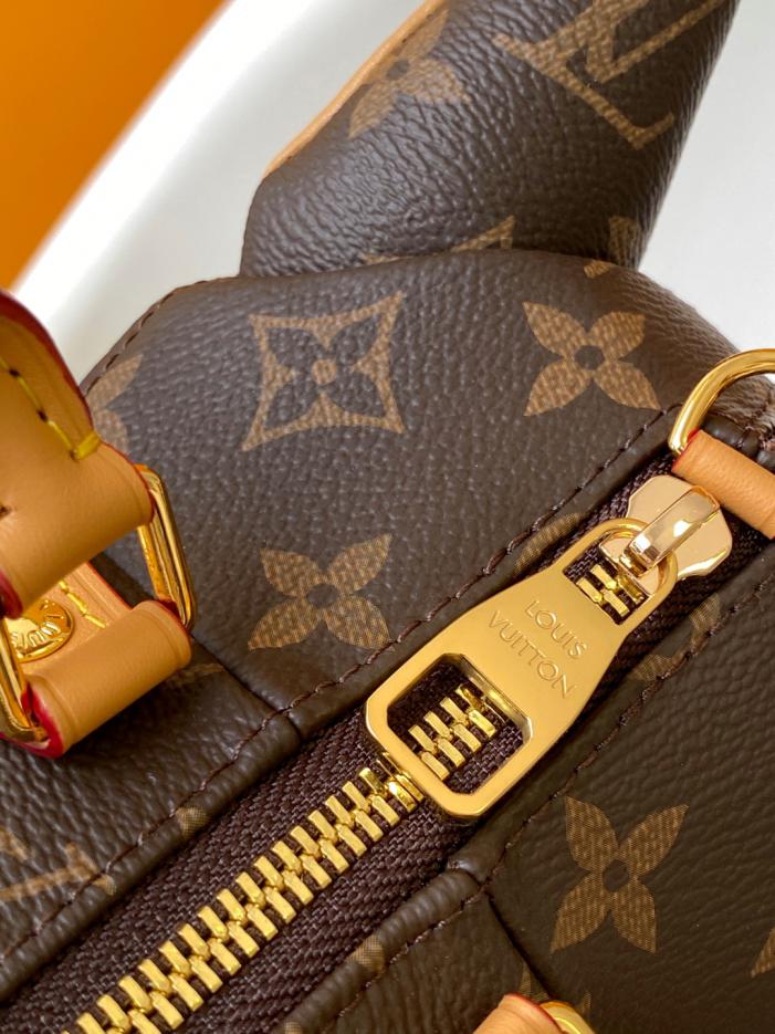 Borsa a mano Louis Vuitton Pooch bag